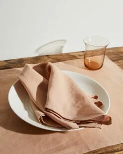 Terracotta 100% French Flax Linen Napkins (Set Of Four)